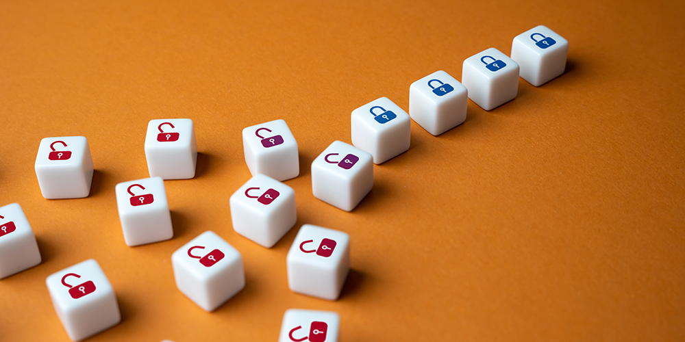 10 steps an organisation can take to mitigate cybersecurity risks