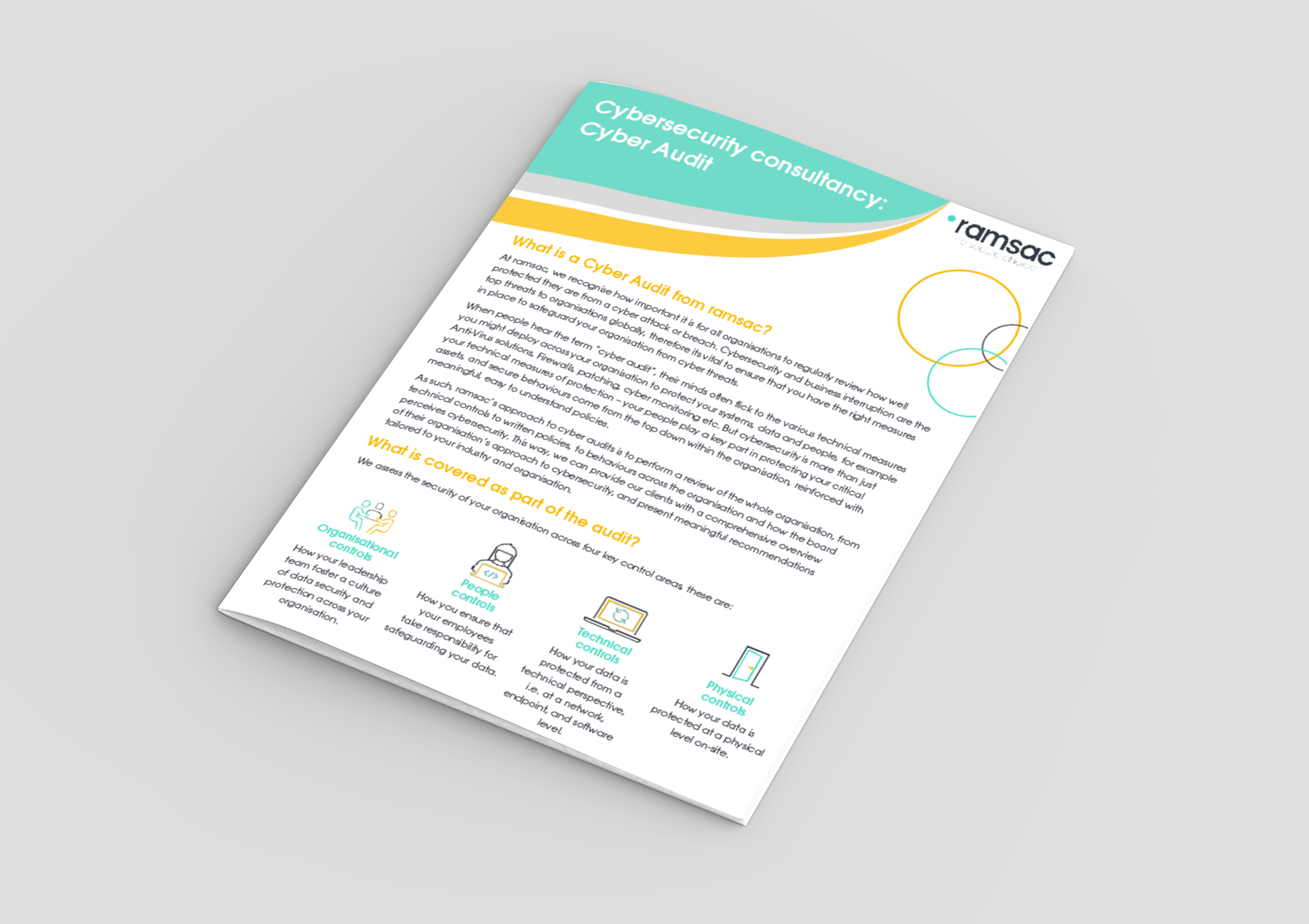 Cybersecurity consultancy &ndash; Cyber Audit